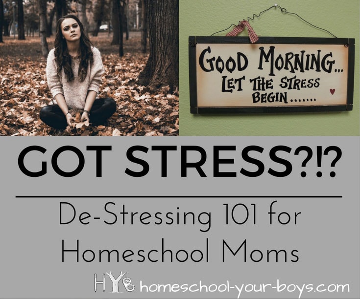 De-Stressing 101 for Homeschool Moms