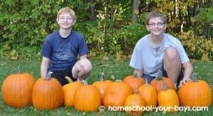 pumpkins