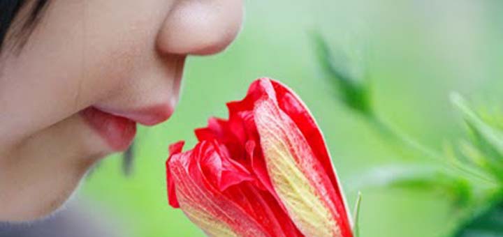 Child smelling a flower