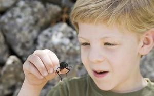 Connecting with your Nature Smart Child