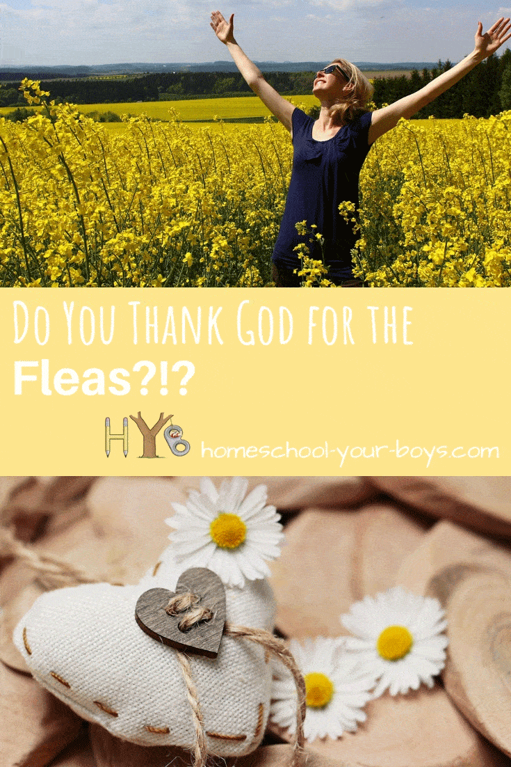 Do You Thank God for the Fleas?