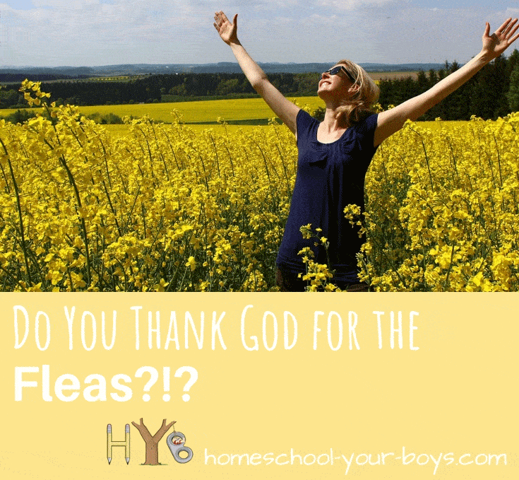 Do You Thank God for the Fleas?