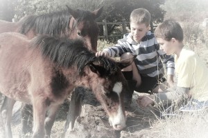 7 Ways to Make Your Sons Hate Homeschooling - Do your sons hate homeschooling? You may be surprised at how easy it is to help them love learning again. Learn how!