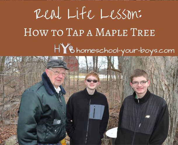 Real Life Lesson: How to Tap a Maple Tree