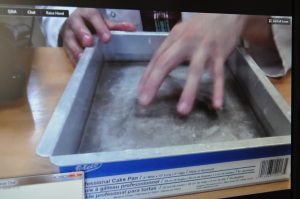 Fun Field Trips Without Leaving Your House