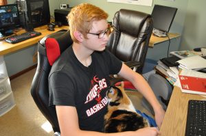 Fun Field Trips Without Leaving Your House