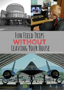 Fun Field Trips Without Leaving Your House