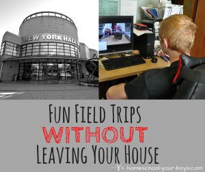 Fun Field Trips Without Leaving Your House