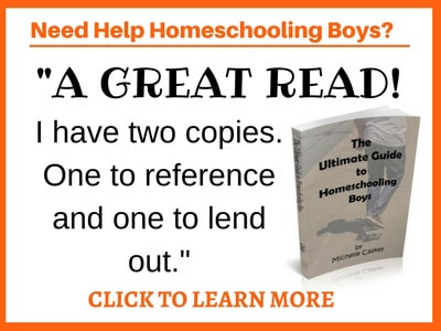 The Ultimate Guide to Homeschooling Boys