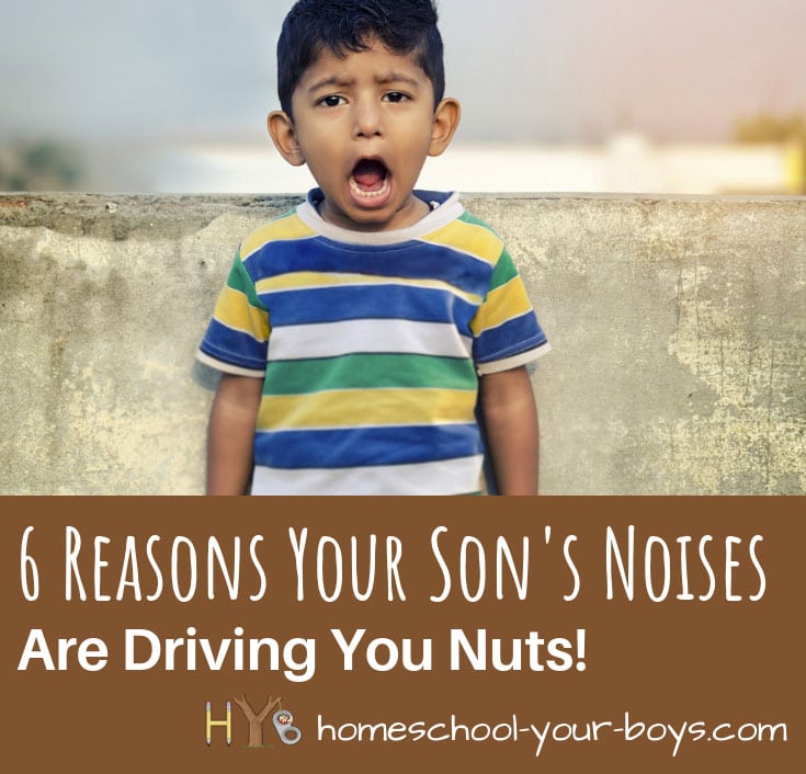 6 Reasons Your Son's Noises Are Driving You Nuts!