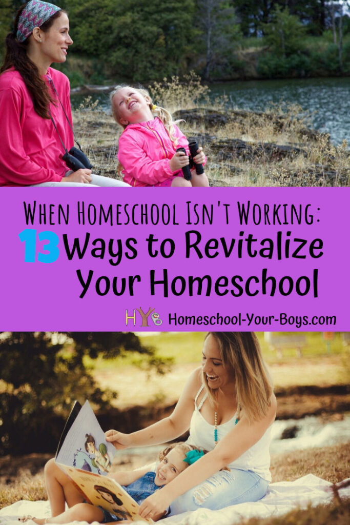 When Homeschool Isn’t Working: 13 Ways to Revitalize Your Homeschool ...