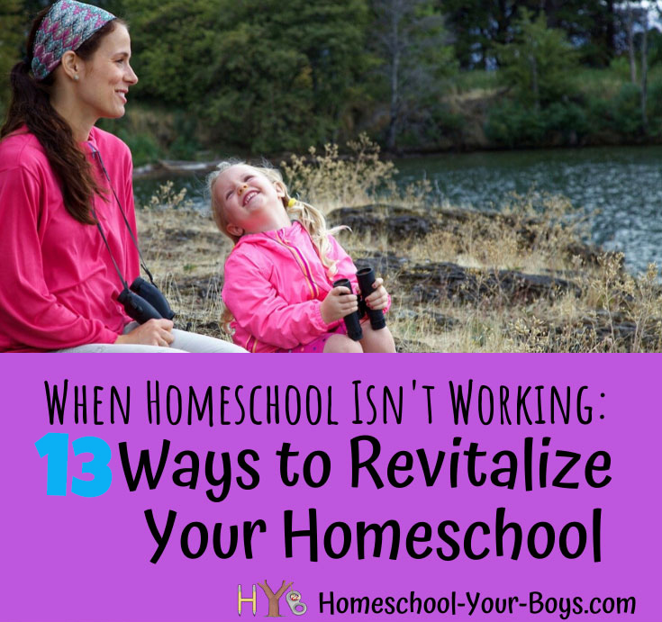 When Homeschool Isn’t Working: 13 Ways to Revitalize Your Homeschool ...
